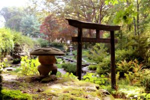 Alternative Health-Japanese-Garden